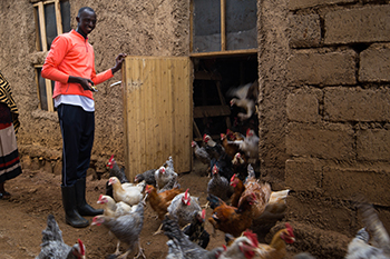 réfugié burundais avec petite entreprise à poules